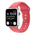 Double Nail Silicone Strap Watch Band For Apple Watch Ultra 49mm / Series 8&7 45mm / SE 2&6&SE&5&4 44mm / 3&2&1 42mm(Watermelon Pink) - 1