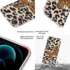For iPhone 12 Pro Max Butterfly Shell Colorful Series Pattern IMD TPU Shockproof Case(Leopard Grain) - 5