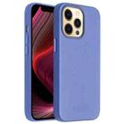 For iPhone 13 Pro Max QIALINO Nappa Cowhide MagSafe Magnetic Protective Case (Blue) - 1
