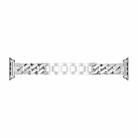 For Apple Watch Series 8&7 45mm / SE 2&6&SE&5&4 44mm / 3&2&1 42mm Single Row Denim Diamond Alloy Watch Band(Silver) - 3