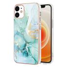 For iPhone 12 / 12 Pro Electroplating Marble Pattern Dual-side IMD TPU Shockproof Case(Green 003) - 1