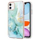 For iPhone 11 Electroplating Marble Pattern Dual-side IMD TPU Shockproof Case (Green 003) - 1