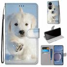 For Huawei P50 Coloured Drawing Cross Texture Horizontal Flip PU Leather Case with Holder & Card Slots & Wallet & Lanyard(Snow Puppy) - 1
