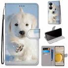 For Huawei P50 Pro Coloured Drawing Cross Texture Horizontal Flip PU Leather Case with Holder & Card Slots & Wallet & Lanyard(Snow Puppy) - 1