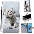 For OPPO A74 4G / F19 Coloured Drawing Cross Texture Horizontal Flip PU Leather Case with Holder & Card Slots & Wallet & Lanyard(Small Gray Cat) - 1