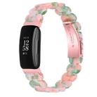 For Fitbit Inspire 2 / Inspire Oval Resin Watch Band(Pink Green Flower) - 1