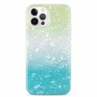 For iPhone 12 Pro Max Gradient Color Shell Texture IMD TPU Shockproof Case(Gradient Green Blue) - 2