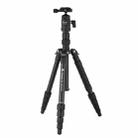 Fotopro X-go Gecko E Portable Aluminum Camera Tripod  with Dual Action Ball Head - 1