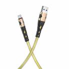 hoco U105 Treasure Jelly Braided USB to Micro USB Charging Data Cable, Cable Length: 1.2m(Gold) - 1