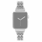 For Apple Watch Series 7 41mm / 6 & SE & 5 & 4 40mm / 3 & 2 & 1 38mm Double Row Diamond Alloy Watch Band(Silver) - 1