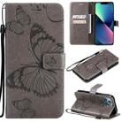 For iPhone 13 mini 3D Butterfly Embossed Pattern Horizontal Flip Leather Case with Holder & Card Slot & Wallet & Lanyard (Grey) - 1