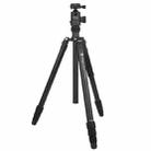 Fotopro X-go Predator E Portable Collapsible Aluminum Camera Tripod  with Dual Action Ball Head - 1