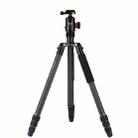 Fotopro X-go Max E Portable Collapsible Carbon Fiber Camera Tripod with Dual Action Ball Head - 1