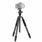 Fotopro X-go Max E Portable Collapsible Carbon Fiber Camera Tripod with Dual Action Ball Head - 2