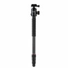 Fotopro X-go Max E Portable Collapsible Carbon Fiber Camera Tripod with Dual Action Ball Head - 4