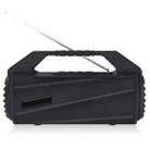 NewRixing NR-4025FM Outdoor Splash-proof Water Portable Bluetooth Speaker, Support Hands-free Call / TF Card / FM / U Disk(Black) - 1