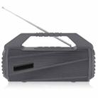 NewRixing NR-4025FM Outdoor Splash-proof Water Portable Bluetooth Speaker, Support Hands-free Call / TF Card / FM / U Disk(Grey) - 1