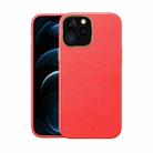 Electroplating Leather Texture PC + TPU Shockproof Case For iPhone 12 / 12 Pro(Red) - 1