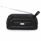 New Rixing NR-906FM TWS Waterproof Bluetooth Speaker Support Hands-free Call / FM with Handle & Antenna(Black) - 1