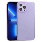 For iPhone 13 Pro Max Camera Precision Hole PP Protective Case (Purple) - 1