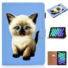 For iPad mini 6 Pure Color Painting Horizontal Flip Leather Tablet Case with Card Slots & Holder & Lanyard & Sleep / Wake-up Function(Cat) - 1