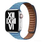 Slimming Loop Magnetic Watch Band For Apple Watch Series 8&7 41mm / SE 2&6&SE&5&4 40mm / 3&2&1 38mm(Chrysanthemum Blue) - 1