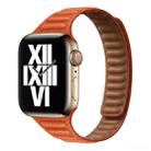Slimming Loop Magnetic Watch Band For Apple Watch Series 8&7 41mm / SE 2&6&SE&5&4 40mm / 3&2&1 38mm(Sunset Glow) - 1