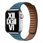 Slimming Loop Magnetic Watch Band For Apple Watch Ultra 49mm&Watch Ultra 2 49mm / Series 9&8&7 45mm / SE 3&SE 2&6&SE&5&4 44mm / 3&2&1 42mm(Cape Blue) - 1