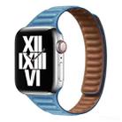 Slimming Loop Magnetic Watch Band For Apple Watch Ultra 49mm / Series 8&7 45mm / SE 2&6&SE&5&4 44mm / 3&2&1 42mm(Chrysanthemum Blue) - 1