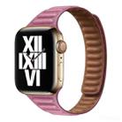 Slimming Loop Magnetic Watch Band For Apple Watch Ultra 49mm / Series 8&7 45mm / SE 2&6&SE&5&4 44mm / 3&2&1 42mm(Rose Pink) - 1