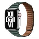 Slimming Loop Magnetic Watch Band For Apple Watch Ultra 49mm&Watch Ultra 2 49mm / Series 9&8&7 45mm / SE 3&SE 2&6&SE&5&4 44mm / 3&2&1 42mm(Turquoise) - 1