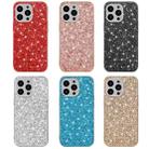 Glitter Powder Shockproof TPU Protective Case For iPhone 13 Pro(Gold) - 2