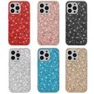 Glitter Powder Shockproof TPU Protective Case For iPhone 13 Pro(Silver) - 2