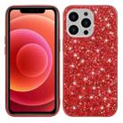 Glitter Powder Shockproof TPU Protective Case For iPhone 13 Pro(Red) - 1