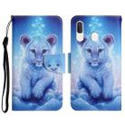 For Samsung Galaxy A20 / A30 Painted Pattern Horizontal Flip Leather Case with Holder & Card Slot & Wallet(Little Leopard) - 1