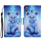 For Samsung Galaxy A20s Painted Pattern Horizontal Flip Leather Case with Holder & Card Slot & Wallet(Little Leopard) - 1