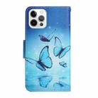 For iPhone 13 Pro Painted Pattern Horizontal Flip Leather Case with Holder & Card Slot & Wallet (Flying Butterfly) - 3