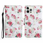 For iPhone 12 Pro Max Painted Pattern Horizontal Flip Leather Case with Holder & Card Slot & Wallet(Red Peony Flower) - 1