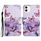 For iPhone 12 mini Painted Pattern Horizontal Flip Leather Case with Holder & Card Slot & Wallet (Bright Butterfly) - 1