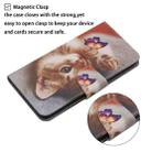 For iPhone XS Max Painted Pattern Horizontal Flip Leather Case with Holder & Card Slot & Wallet(Butterfly Cat) - 6