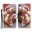 For iPhone XR Painted Pattern Horizontal Flip Leather Case with Holder & Card Slot & Wallet(Butterfly Cat) - 1
