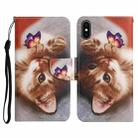 For iPhone X / XS Painted Pattern Horizontal Flip Leather Case with Holder & Card Slot & Wallet(Butterfly Cat) - 1