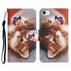 For iPhone SE 2022 / SE 2020 / 8 / 7 Painted Pattern Horizontal Flip Leather Case with Holder & Card Slot & Wallet(Butterfly Cat) - 1