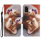 For Samsung Galaxy A41 Painted Pattern Horizontal Flip Leather Case with Holder & Card Slot & Wallet(Butterfly Cat) - 1