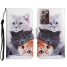 For Samsung Galaxy Note20 Ultra Painted Pattern Horizontal Flip Leather Case with Holder & Card Slot & Wallet(Three Cats) - 1