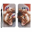 For Samsung Galaxy S10e Painted Pattern Horizontal Flip Leather Case with Holder & Card Slot & Wallet(Butterfly Cat) - 1