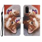 For Samsung Galaxy S20 Painted Pattern Horizontal Flip Leather Case with Holder & Card Slot & Wallet(Butterfly Cat) - 1
