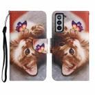 For Samsung Galaxy S21 5G Painted Pattern Horizontal Flip Leather Case with Holder & Card Slot & Wallet(Butterfly Cat) - 1