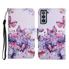 For Samsung Galaxy S21 5G Painted Pattern Horizontal Flip Leather Case with Holder & Card Slot & Wallet(Bright Butterfly) - 1