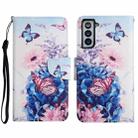 For Samsung Galaxy S21 5G Painted Pattern Horizontal Flip Leather Case with Holder & Card Slot & Wallet(Purple Butterfly) - 1